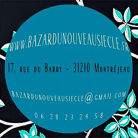 Bed & Breakfast Bazar Du Nouveau Siecle Montrejeau